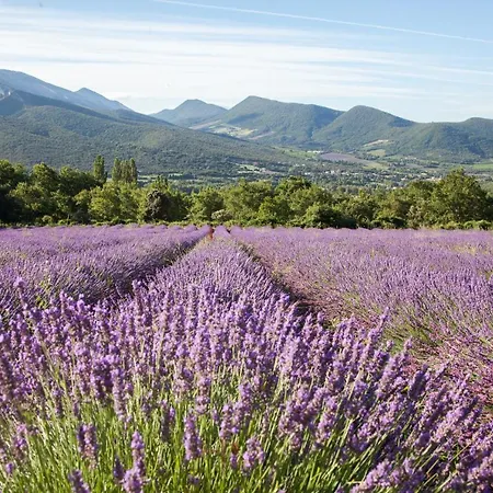 Bed & Breakfast Mas De L'adret 3*